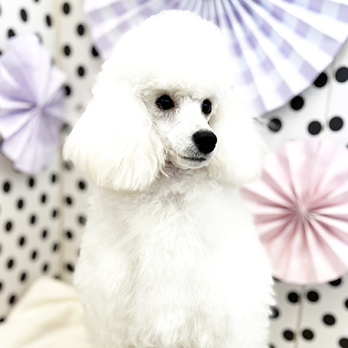 この冬で１歳です！